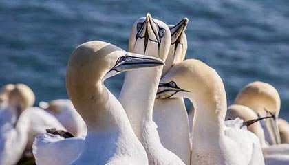 爱游戏手机版-运动员技能竞赛奖励机制，运动员技能竞赛奖励机制是什么