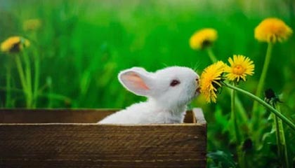 爱游戏赛事中心-中甲风云再起老牌劲旅誓言冲超