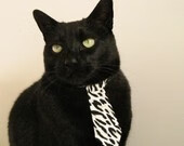 球星专访:谈比赛,讲成长,展未来,采访球星的对话