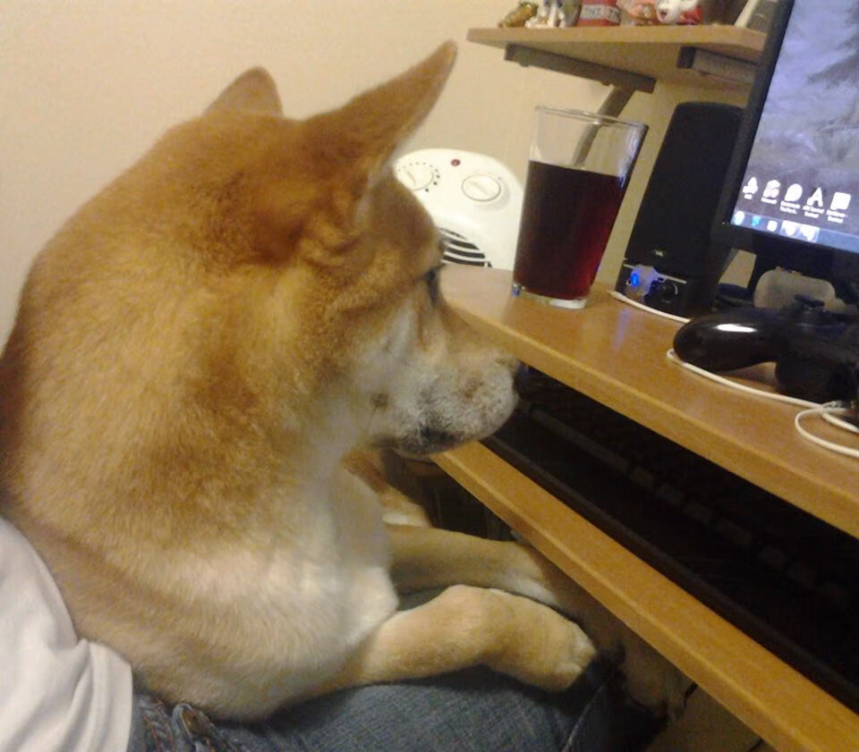 破解难题：如何提升比赛公正性，比赛公平