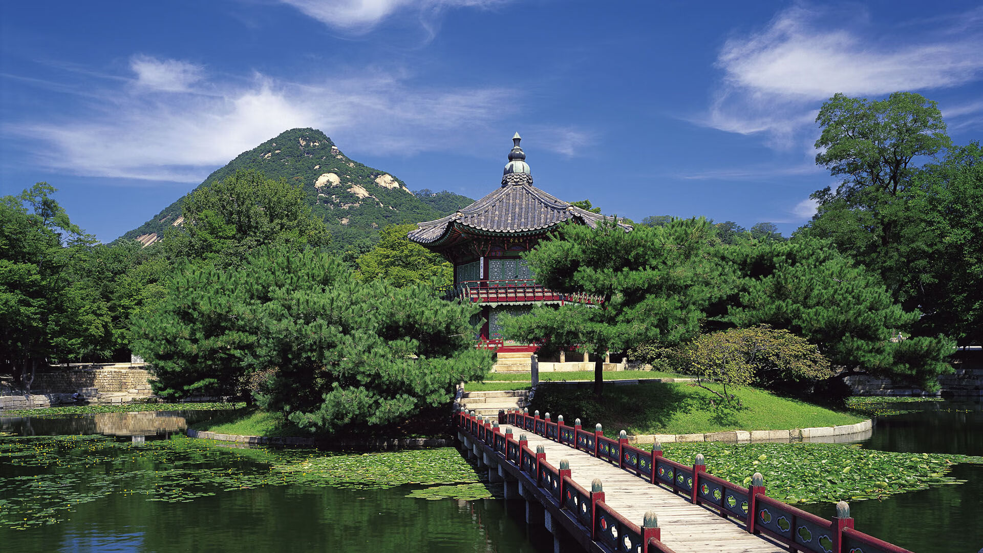 粉丝经济持续升温，电竞粉丝粘性和影响力显著增强，粉丝经济 电竞