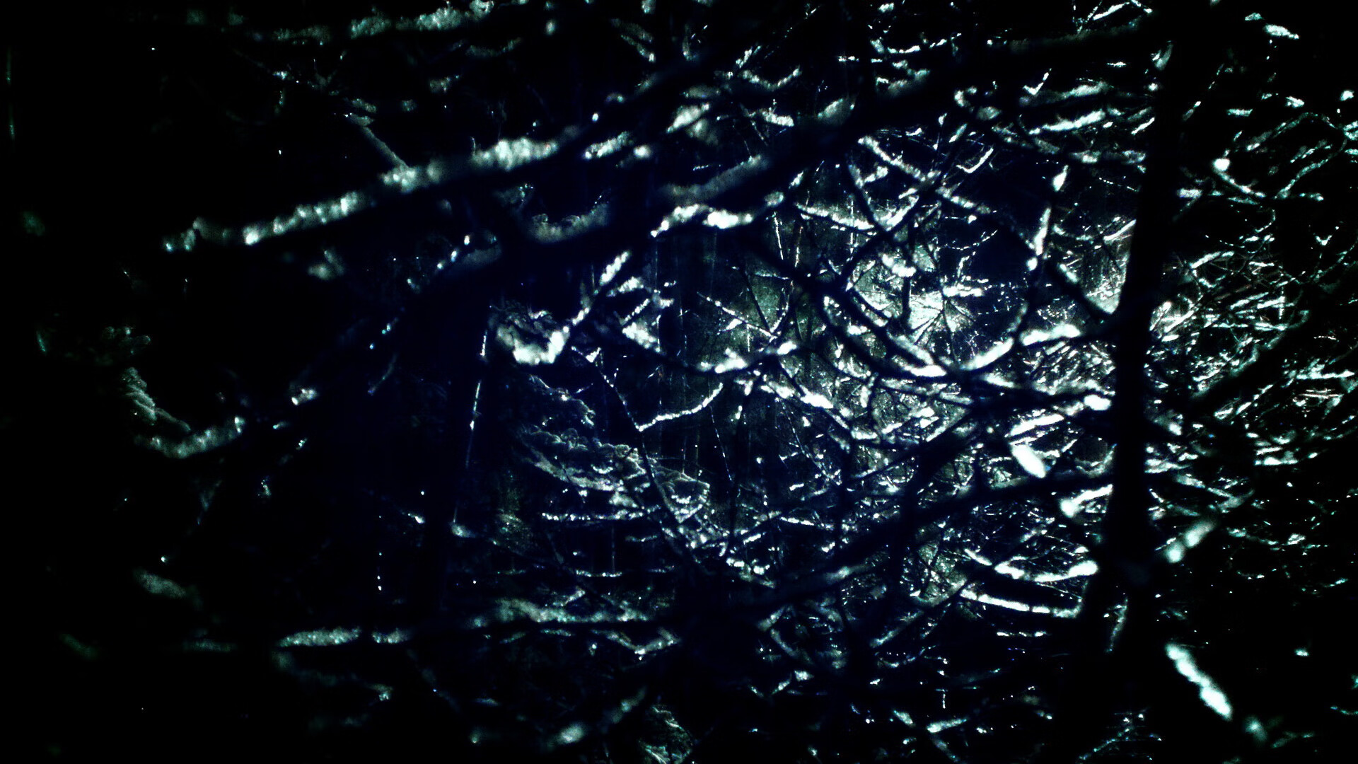 青少年裁判员“实战+理论”双轨培养体系逐步实现行业标准化，青少年足球裁判员培训