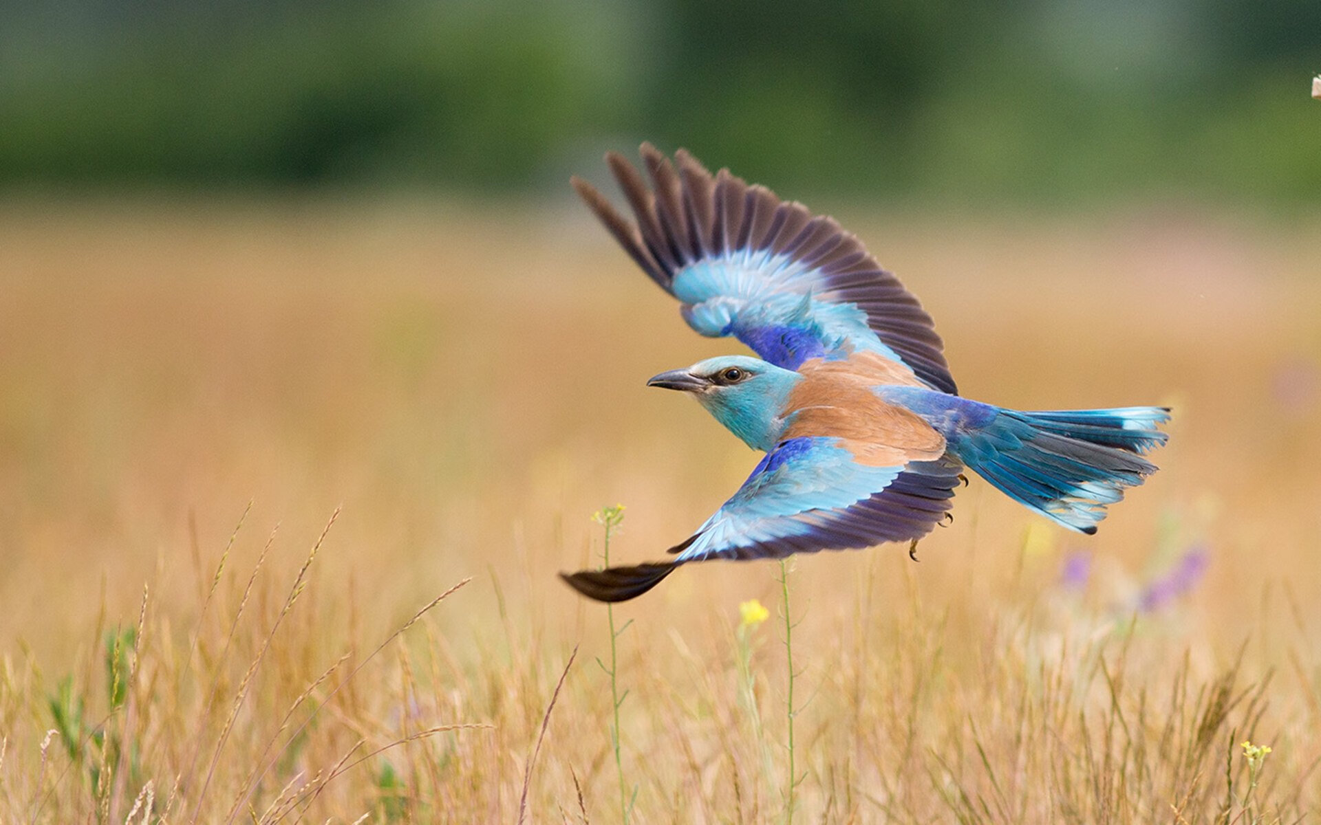 JDG开启职业选手专项康复计划