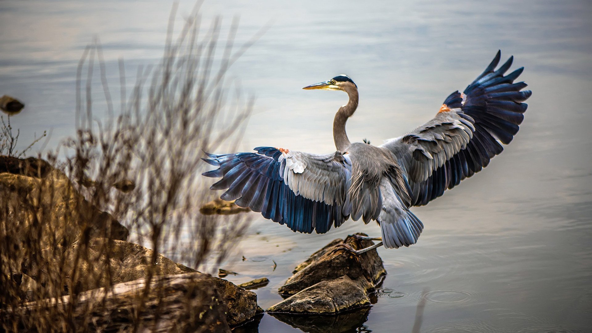 爱游戏服务-利物浦在欧冠小组赛中全胜晋级，利物浦欧冠捧杯