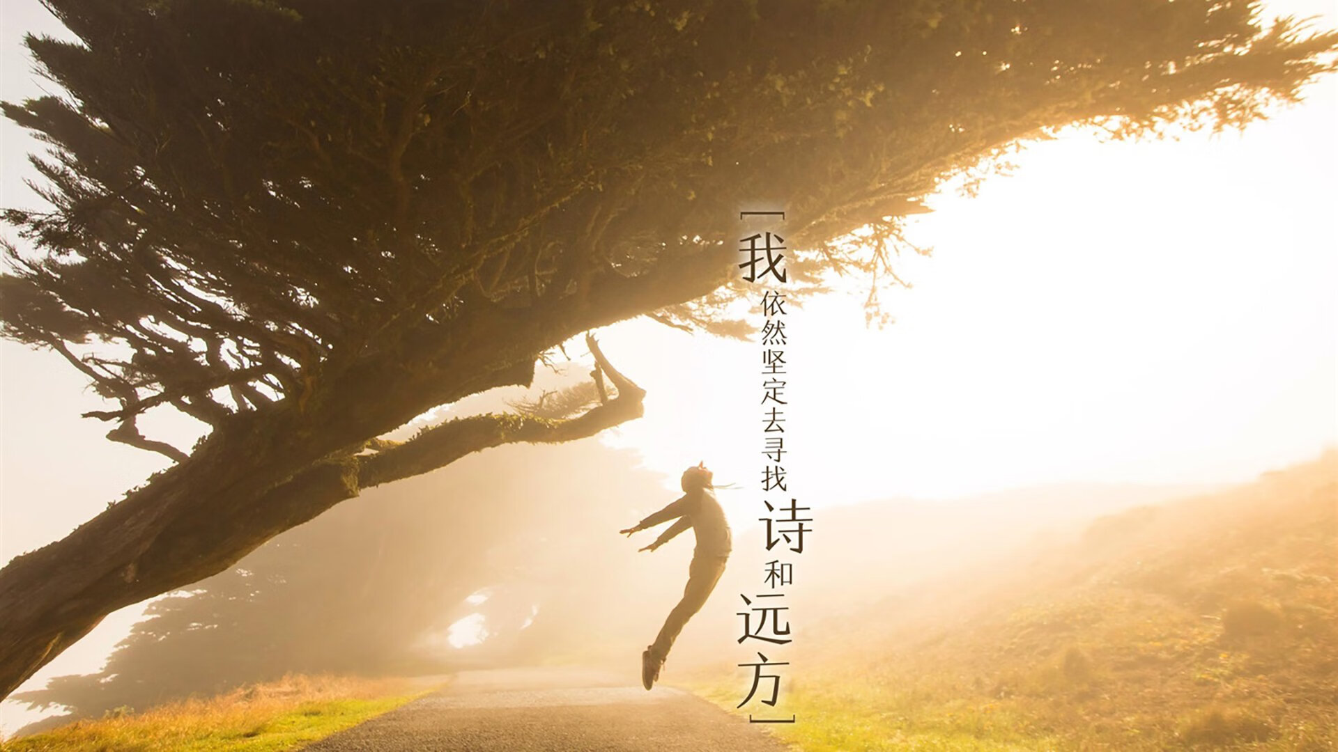 巴萨抢得主场胜利，梅西梅开二度，巴萨向梅西开出新报价