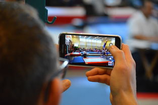 爱游戏官网下载-中国篮球联赛市场细分与营销研究，篮球联赛介绍