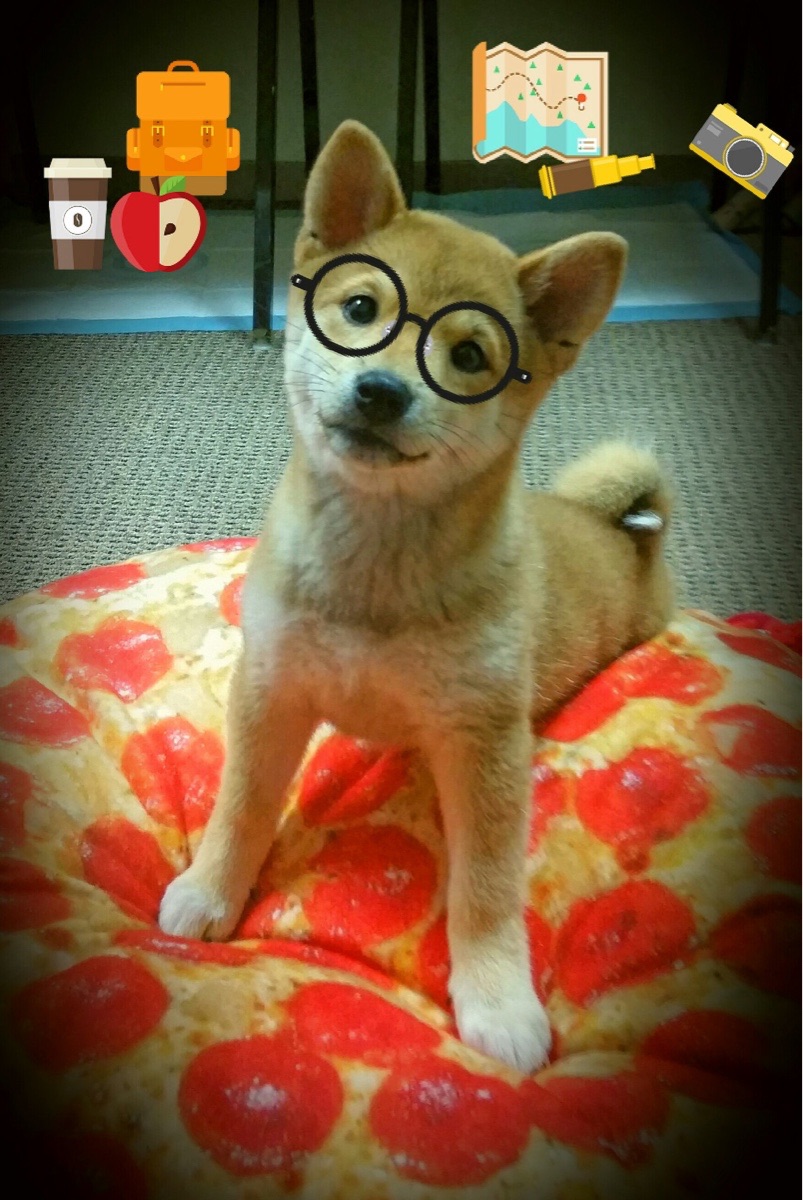 爱游戏体育-“新加坡游泳赛场：泳者挑战自我，争夺荣誉”