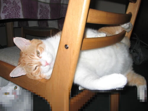 五大联赛是否鼓励后腰向边路释放传球角度,五大联赛进攻型球队